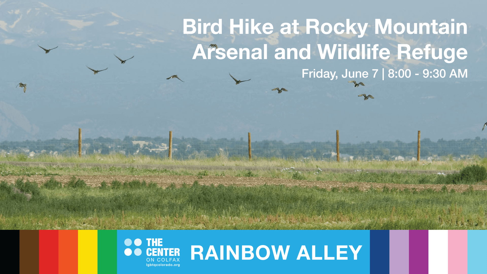 Rainbow Alley’s Bird Hike at Rocky Mountain Arsenal and Wildlife Refuge